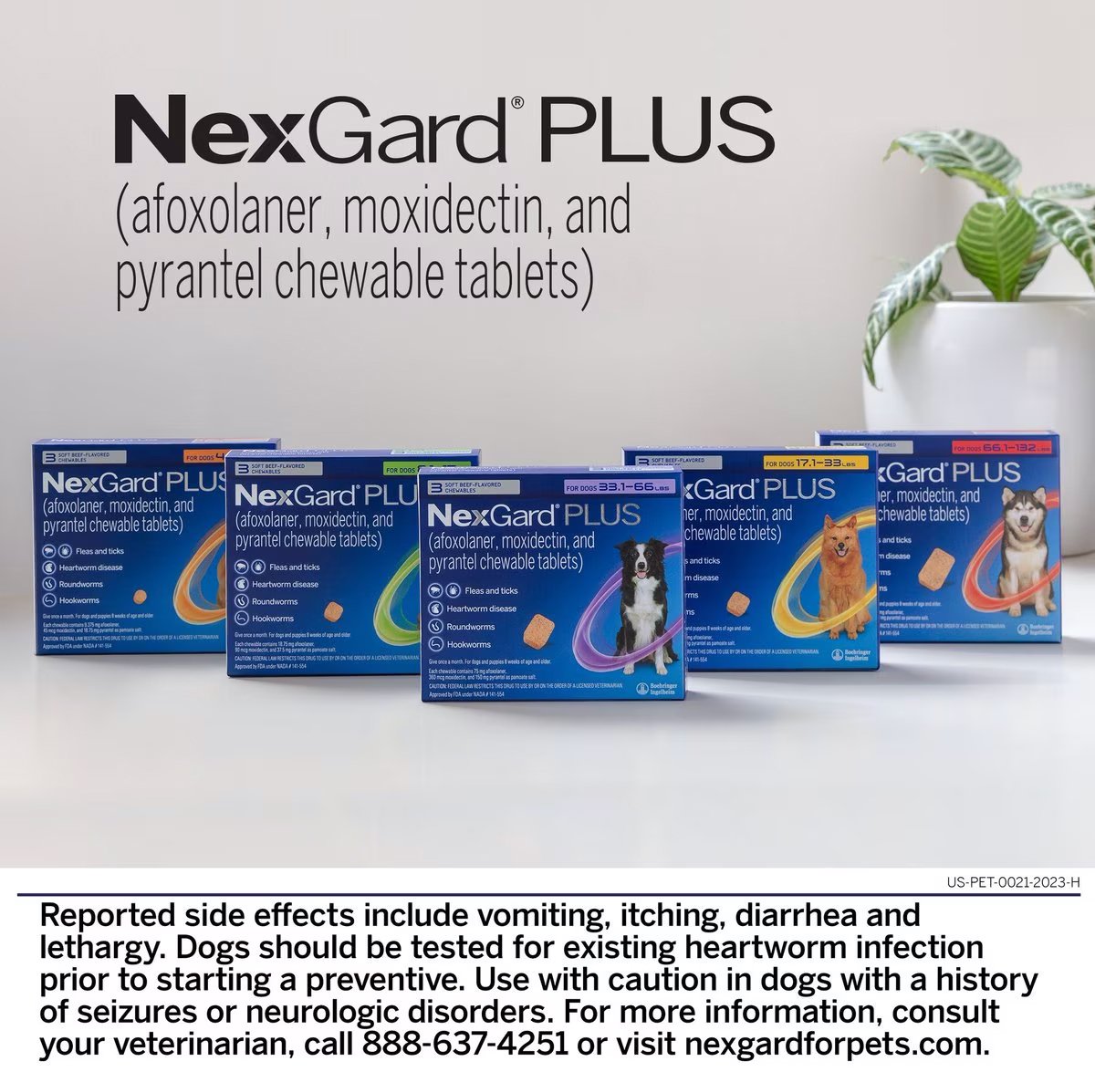 NexGard PLUS