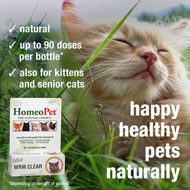 HomeoPet Feline WRM Clear, 15 mL
