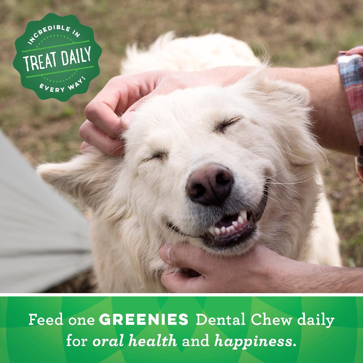 Greenies Original Regular Size Dog Dental Treats, 36 ounces, 36 count