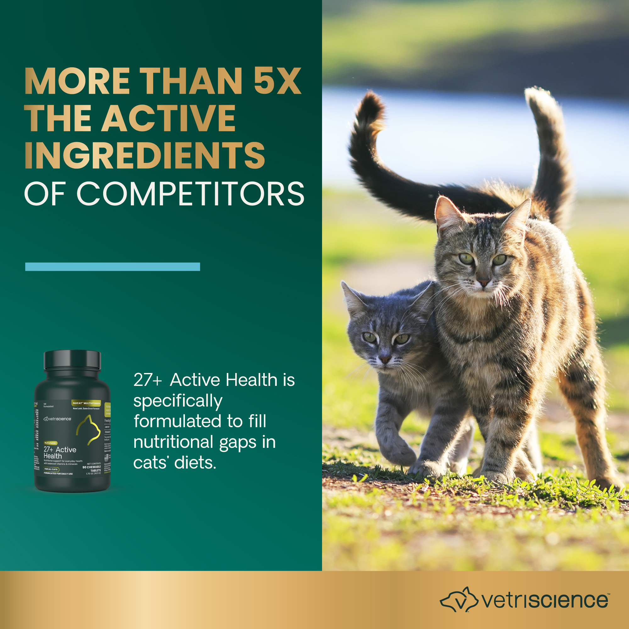 27+ Active Health