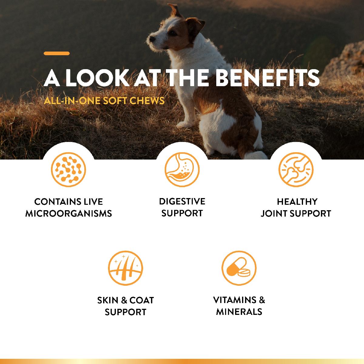 NaturVet All In One Soft Chews for Dogs 120 count