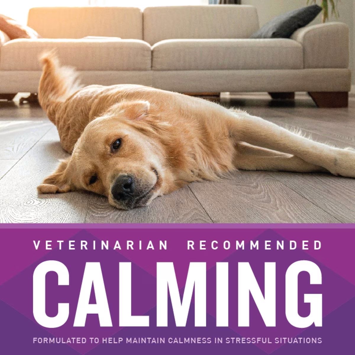 VetIQ Calming Soft Chew Calming Supplement for Dogs, 60 count
