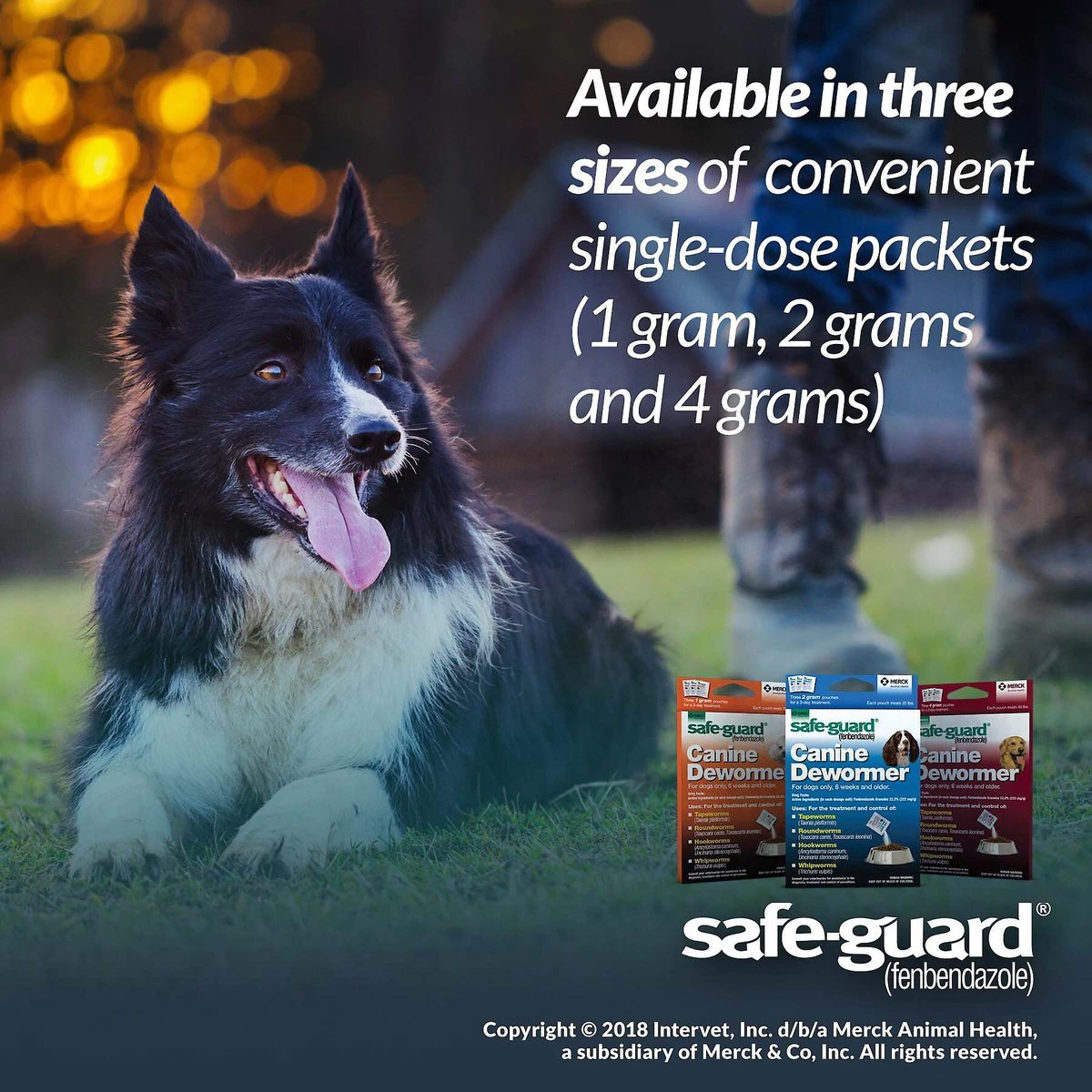 Safe Guard Canine Dewormer (fenbendazole), 3 pack, 2 g packets