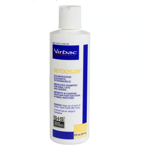 Ketochlor (Chlorhexidine Gluconate, Ketoconazole) Medicated Shampoo, 8 oz