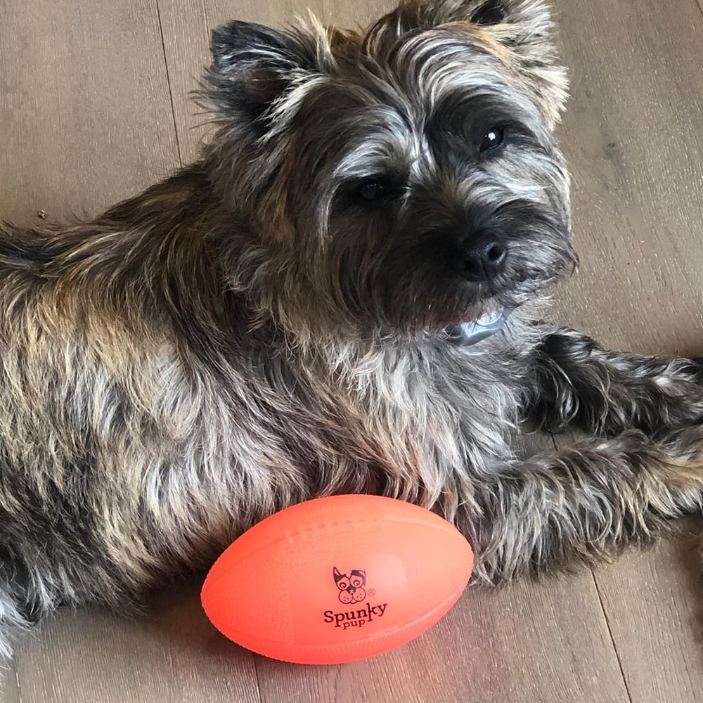 Glow in the Dark Football