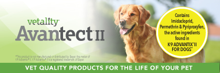 Vetality Avantect II for Extra Large Dogs, over 55 Pounds, 4 Doses