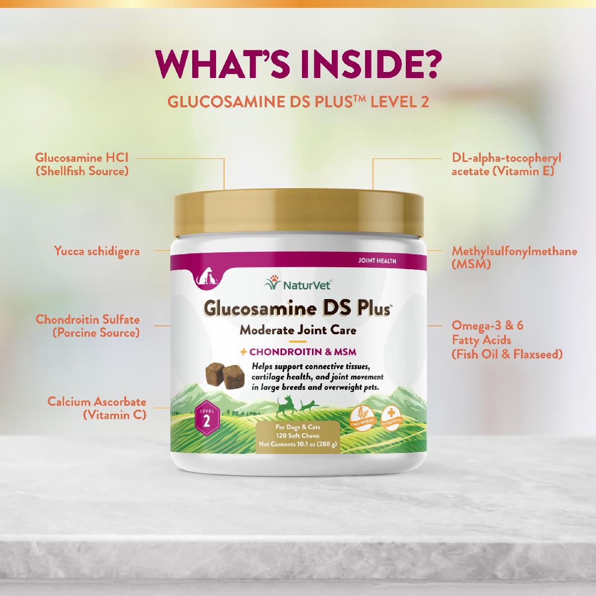 NaturVet Glucosamine DS Plus Soft Chews, Level 2 Moderate Care for Dogs and Cats, 120 count