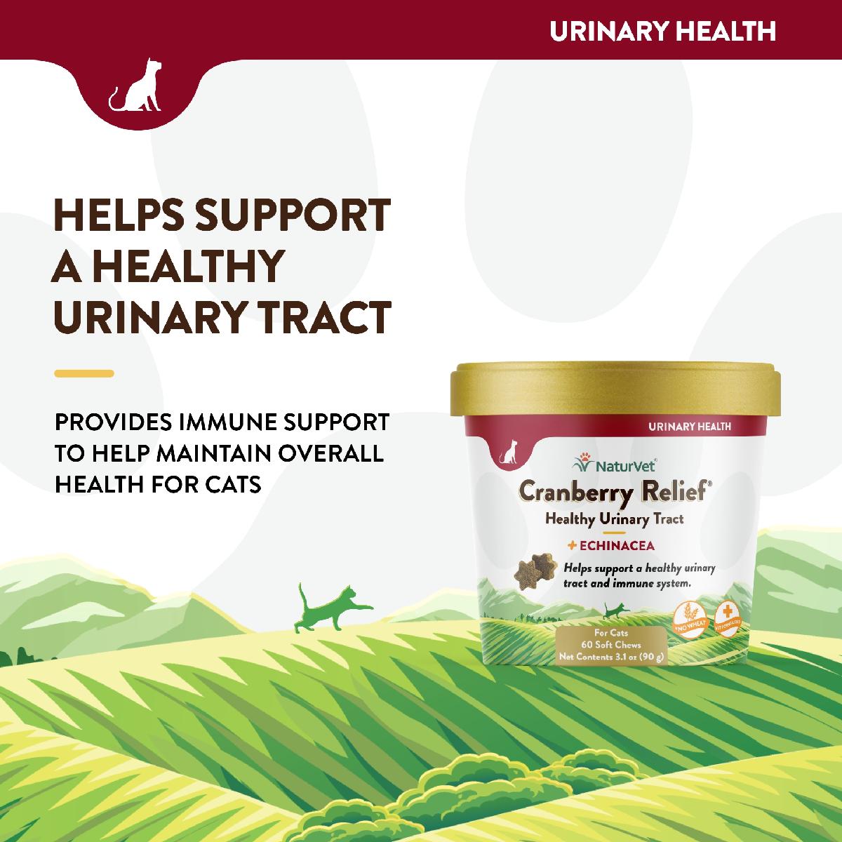 NaturVet Cranberry Relief Plus Echinacea Cat Soft Chews, 60 count