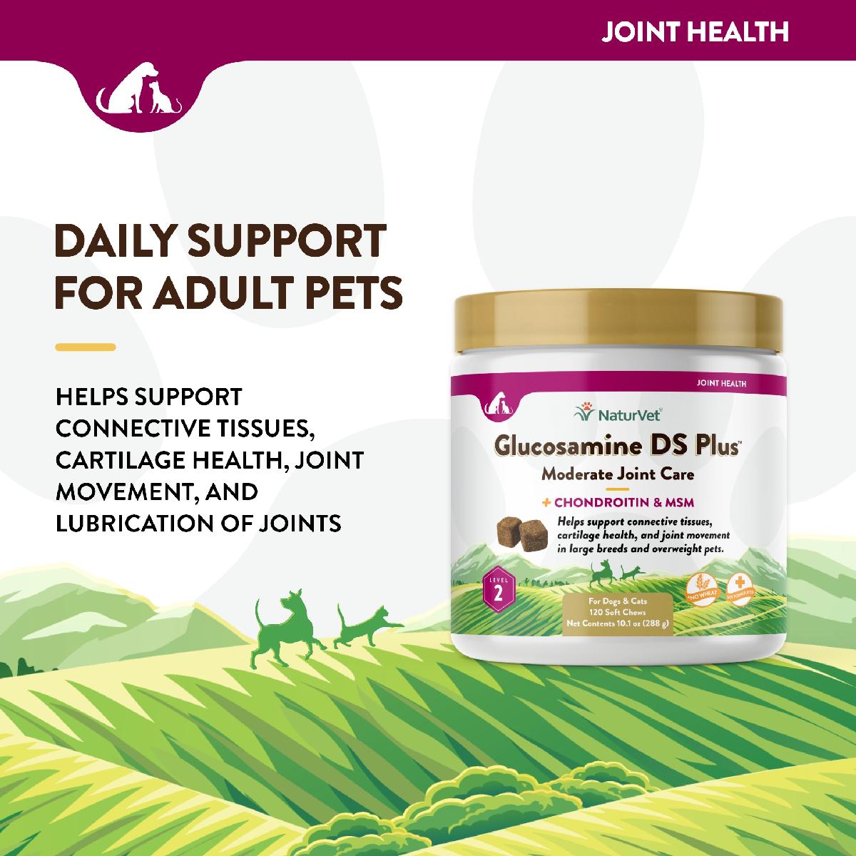 NaturVet Glucosamine DS Plus Soft Chews, Level 2 Moderate Care for Dogs and Cats, 120 count