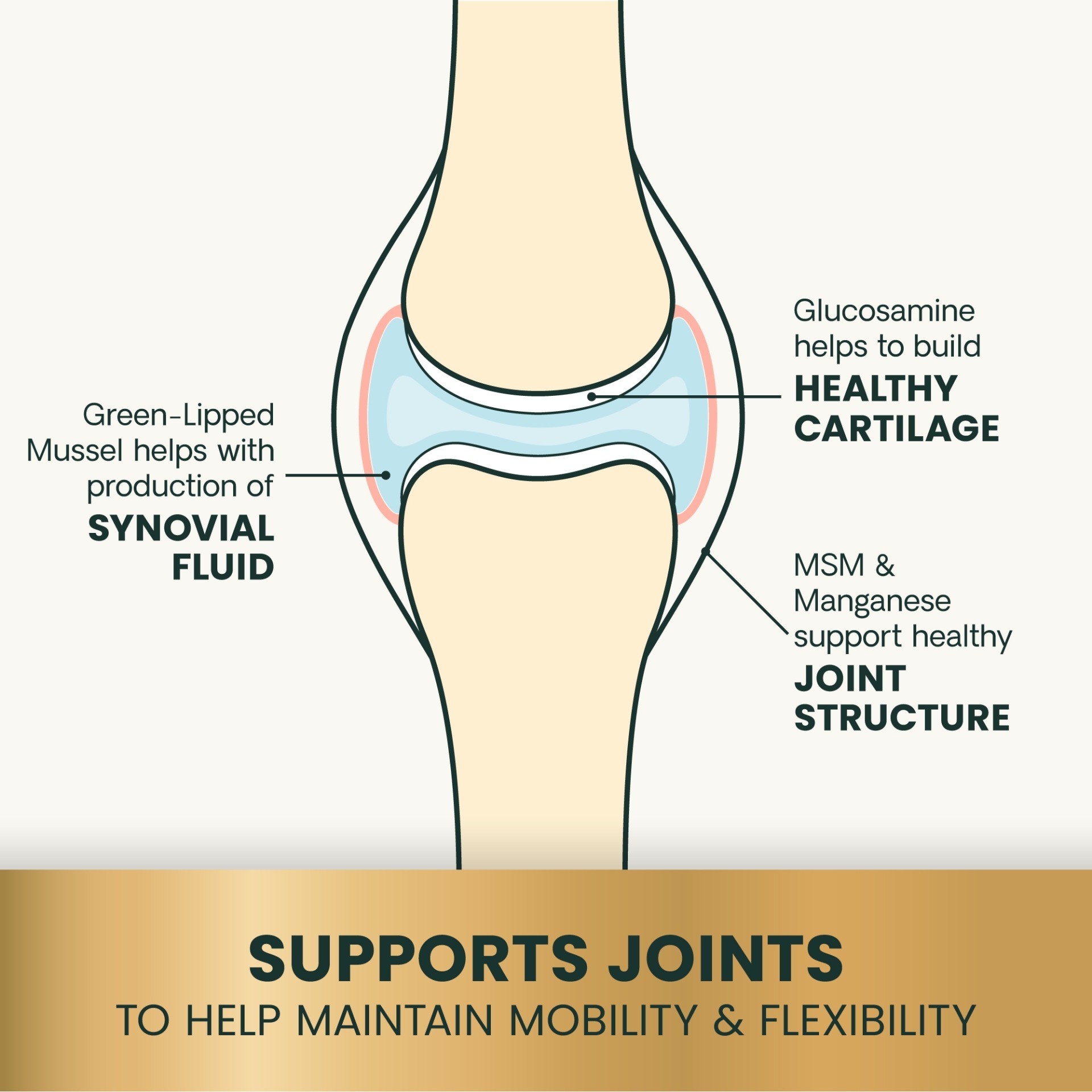 Healthy Hip & Joint Chewable Tablets for Dogs