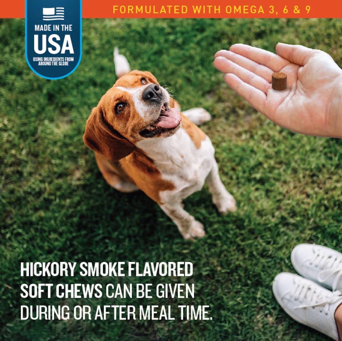 VetIQ Skin and Coat Hickory Smoke Flavor Dog Chew, 60 Ct