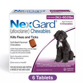 NexGard for Dogs 24.1-60 lbs, 6 Chewables