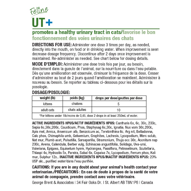 HomeoPet-Cat-UT+-Back