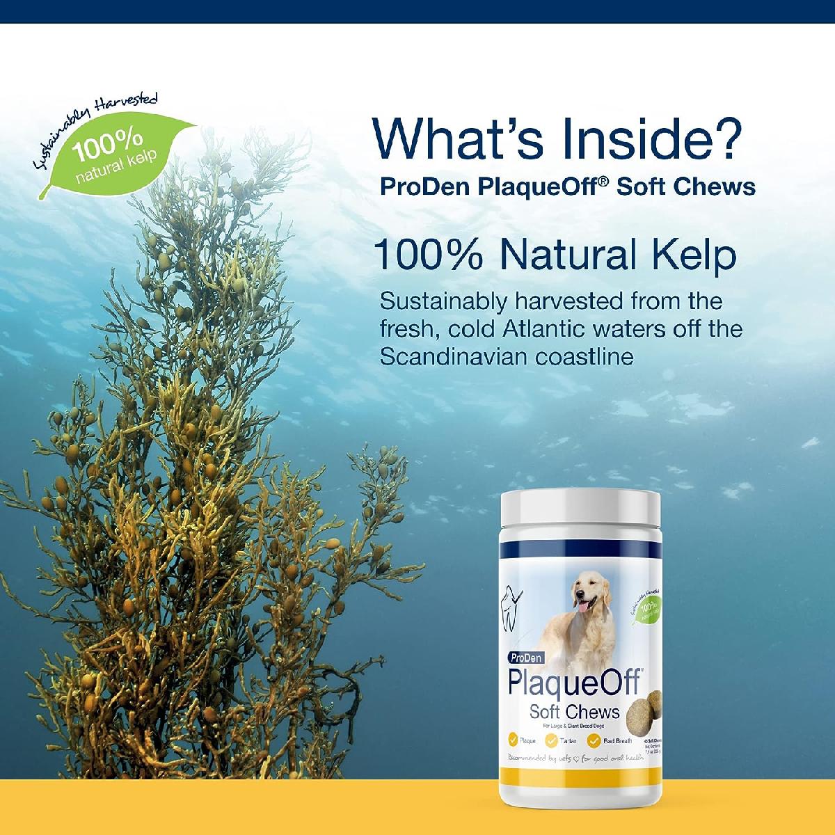 ProDen PlaqueOff Soft Chews with Natural Kelp, for Large Breed Dogs, 45ct