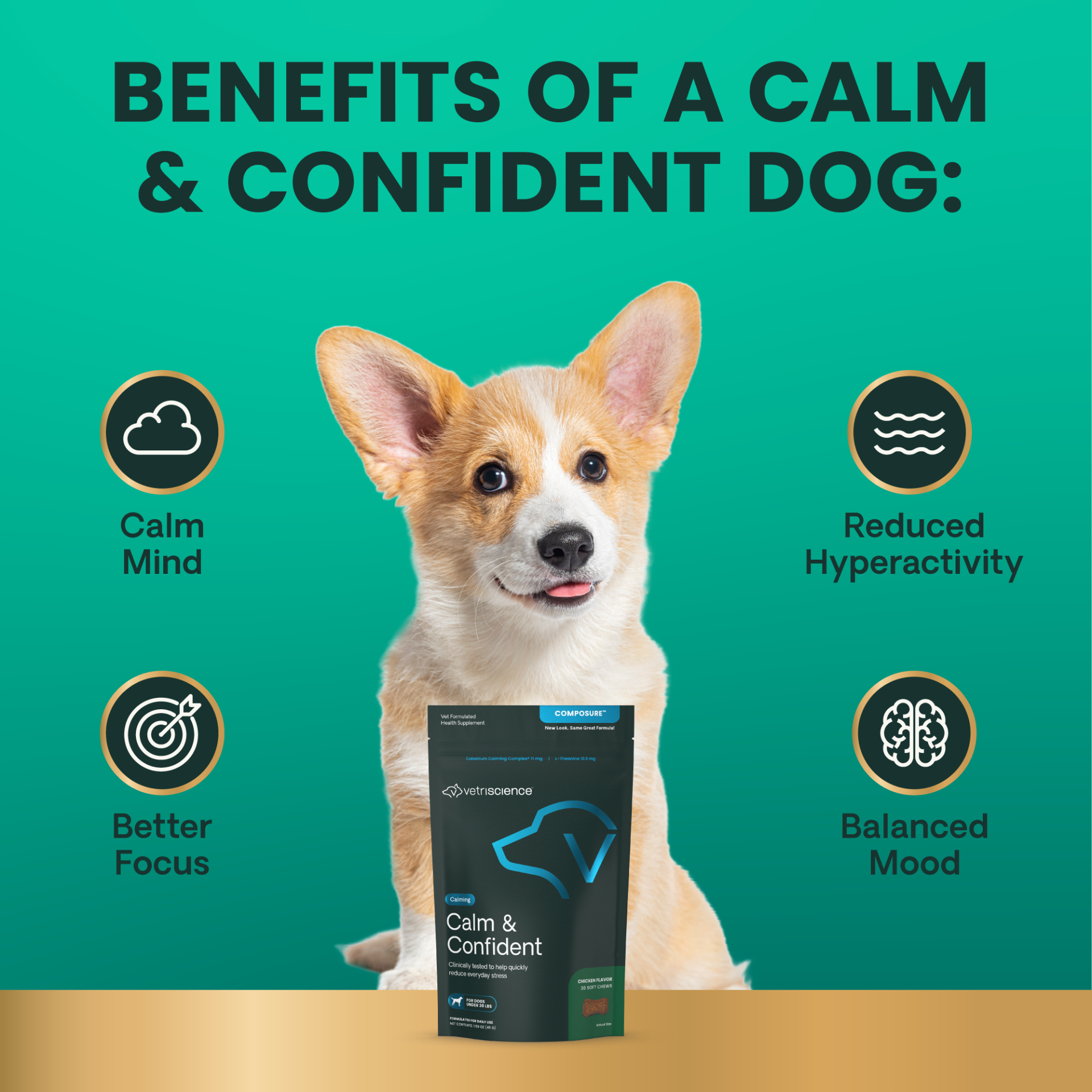 Calm & Confident for Small Dogs