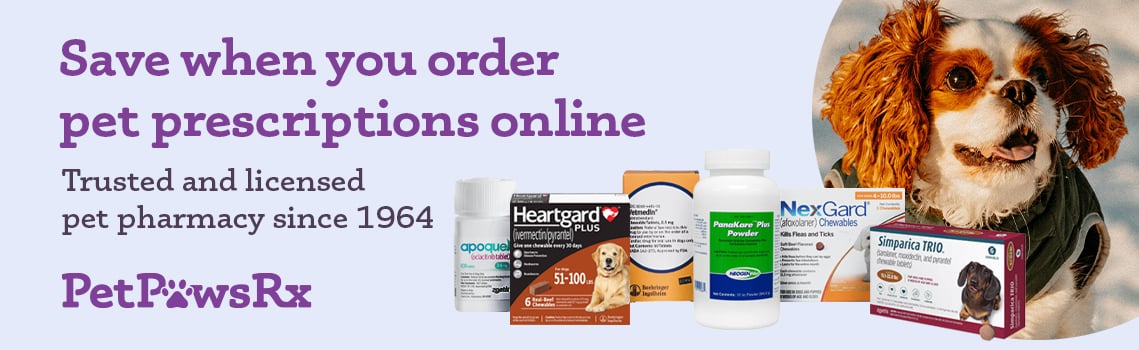 Save when you order pet prescriptions online