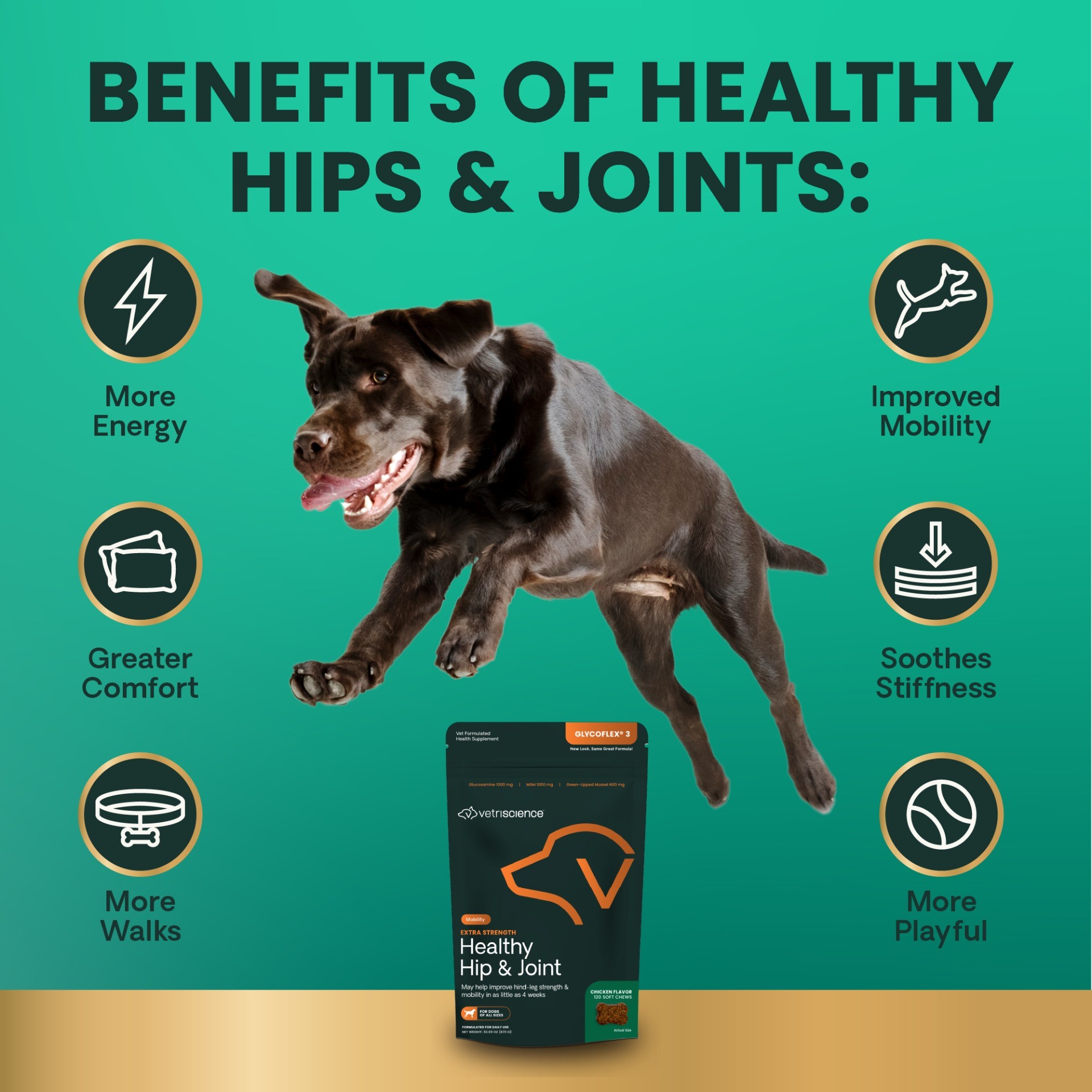 Extra Strength Healthy Hip & Joint