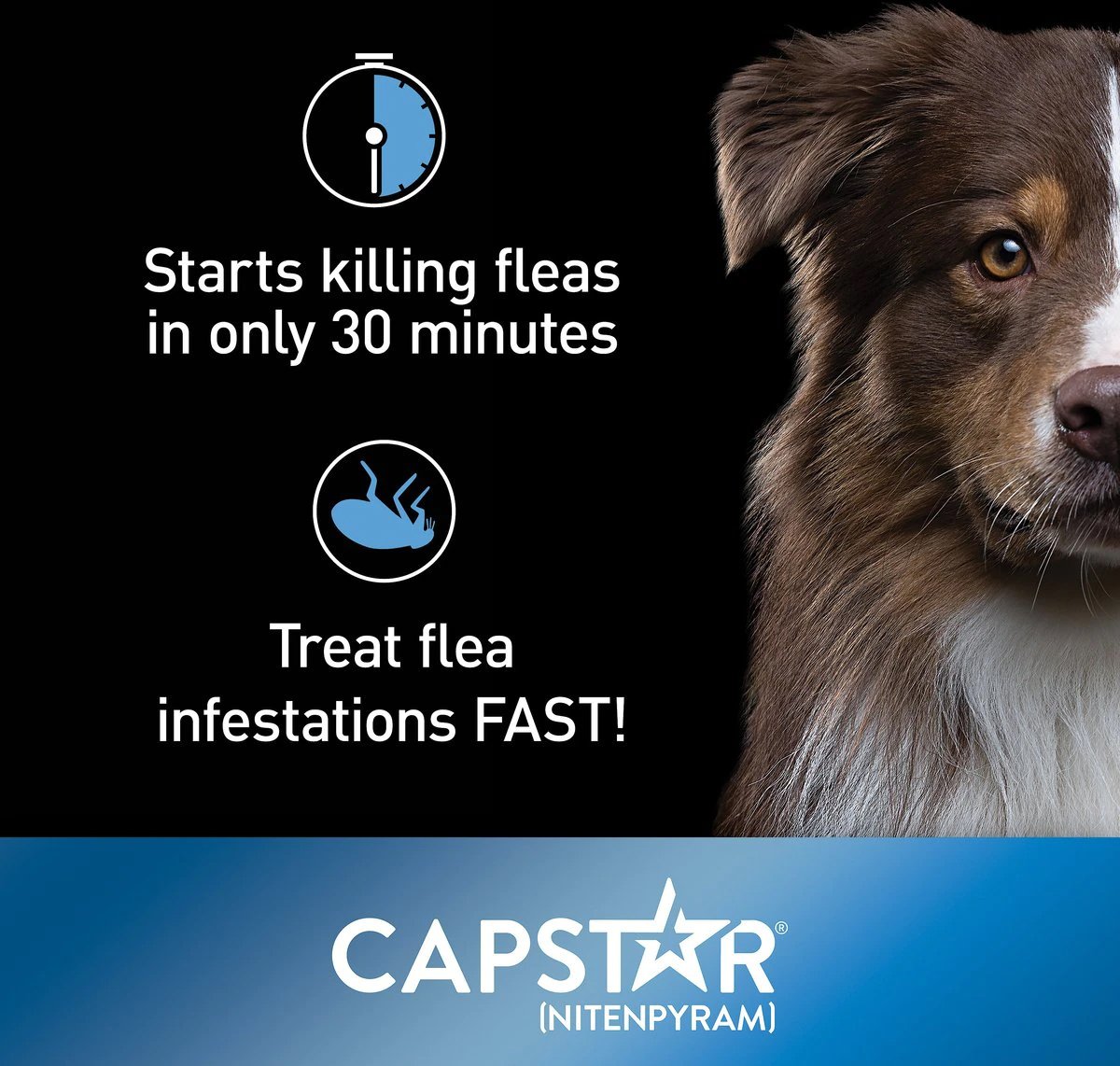 Capstar Flea Tablets (nitenpyram) for Dogs, 2 25 lbs, 6 tablets, 11.4 mg