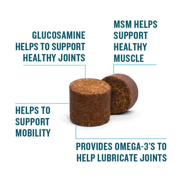VetIQ Hip & Joint Supplement for Dogs, Anti Inflammatory Joint Support, Glucosamine, MSM, and Krill, Soft Chews, 60 Ct