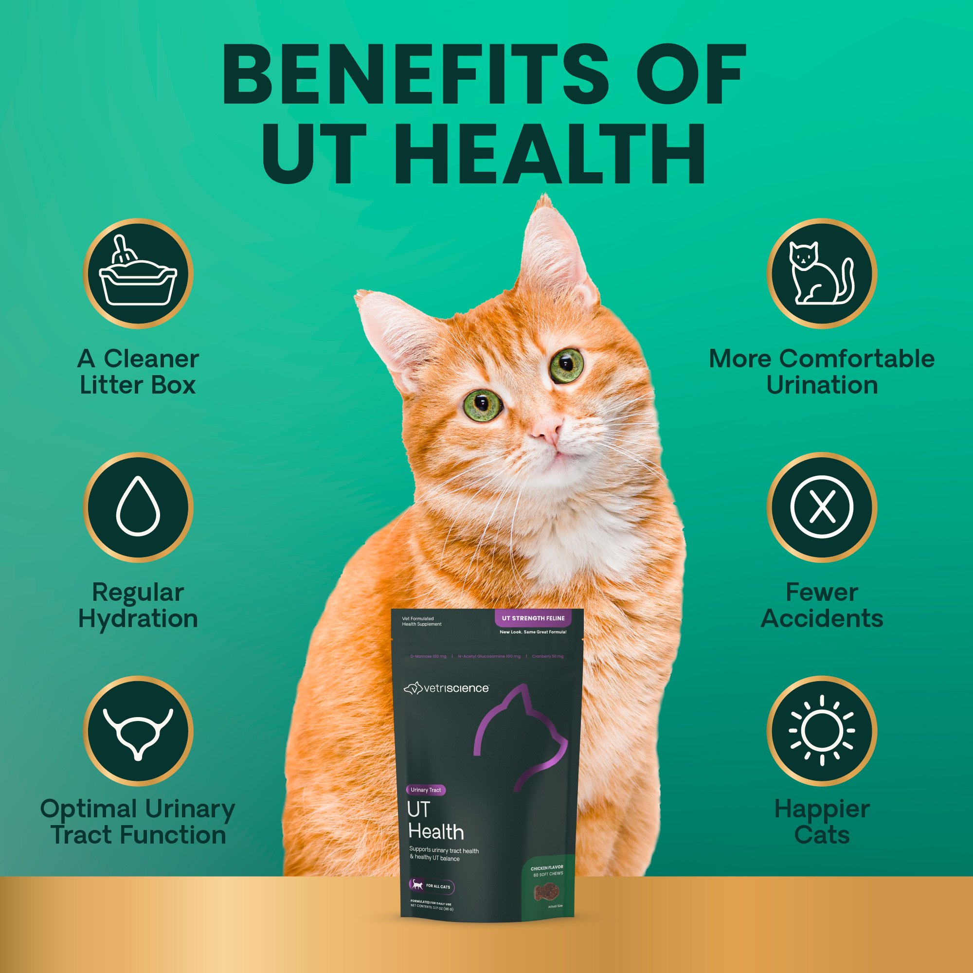 Feline UT Health