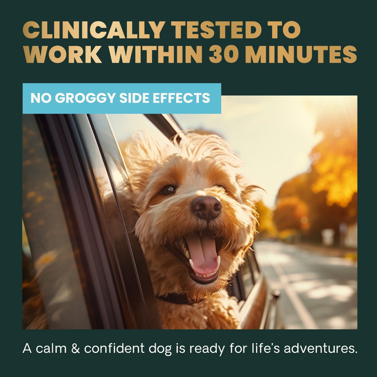 Vetriscience Calm