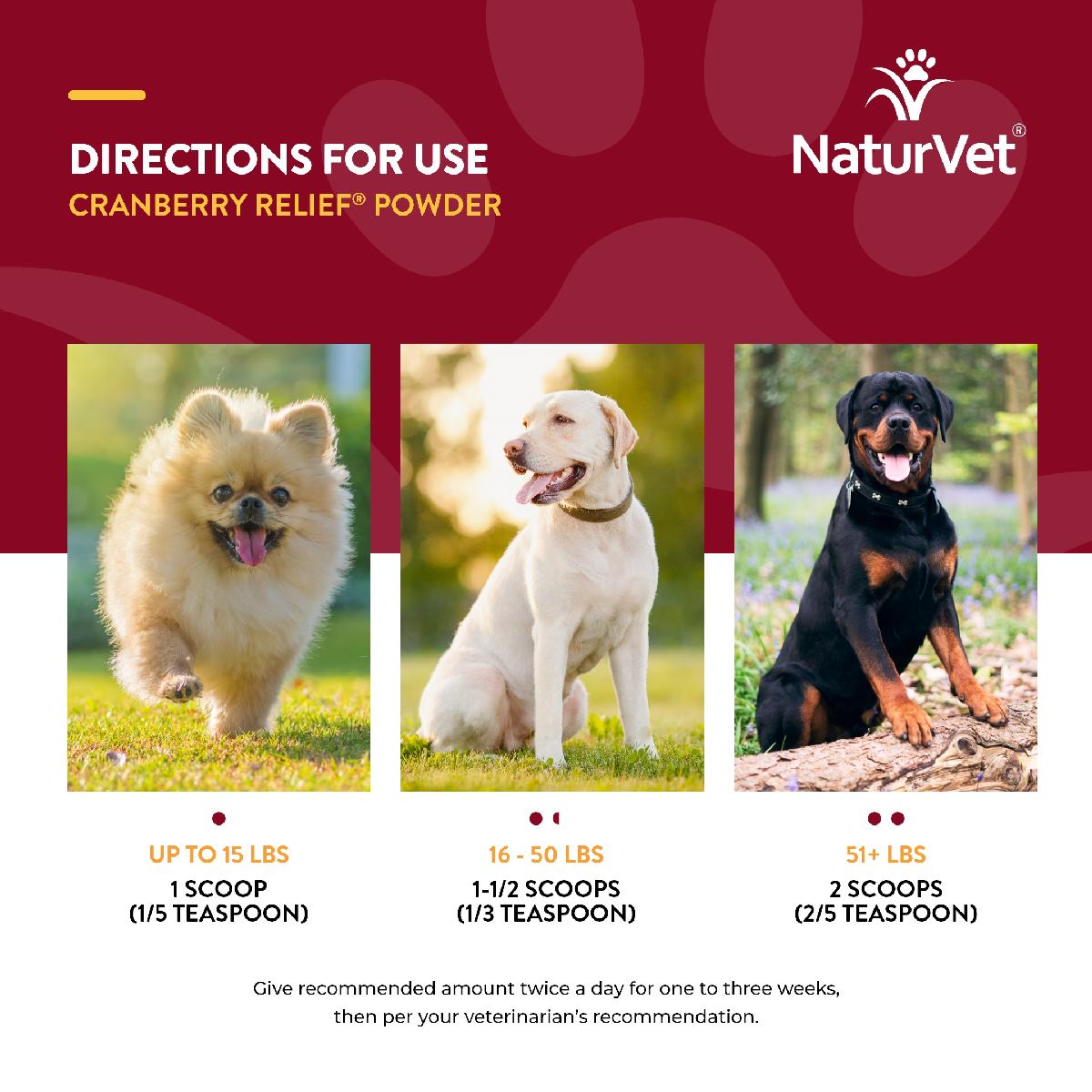 NaturVet Cranberry Relief Powder Plus Echinacea for Dogs and Cats, 50 grams