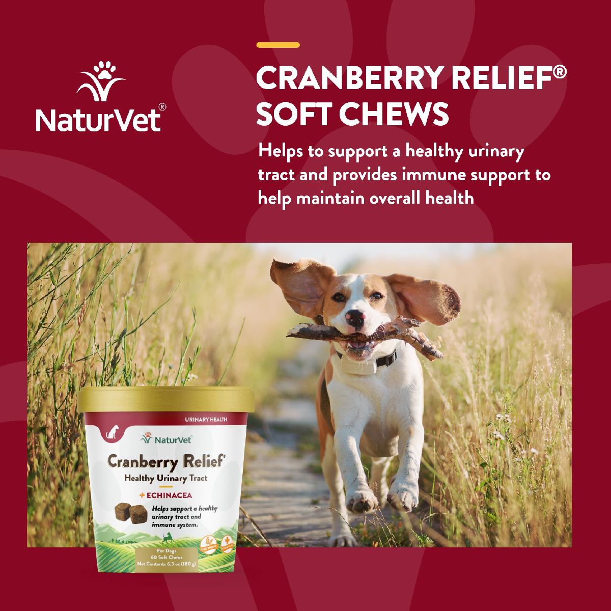 NaturVet Cranberry Relief Plus Echinacea for Dogs, 60 Soft Chews