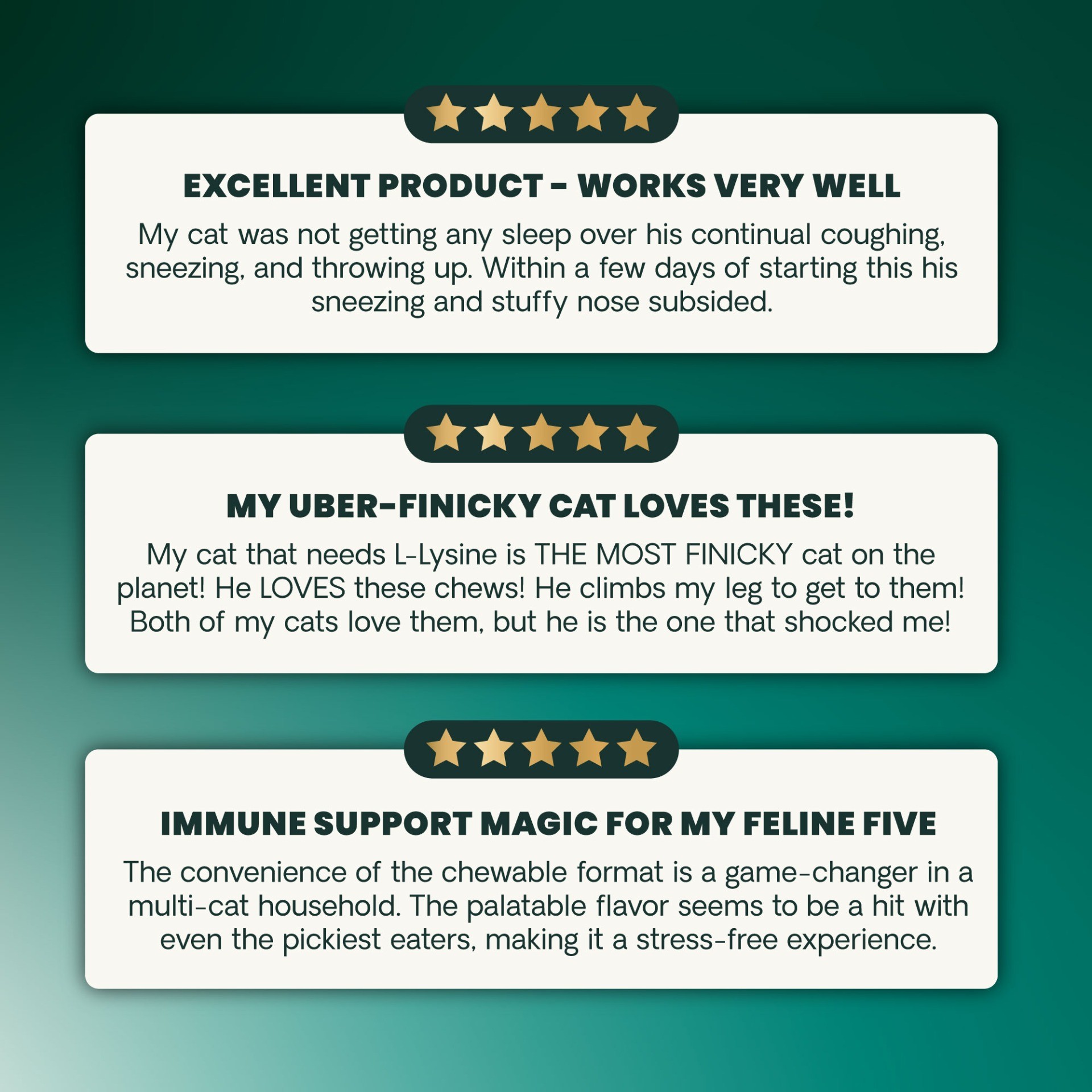 Lysine Immunity Health for Cats