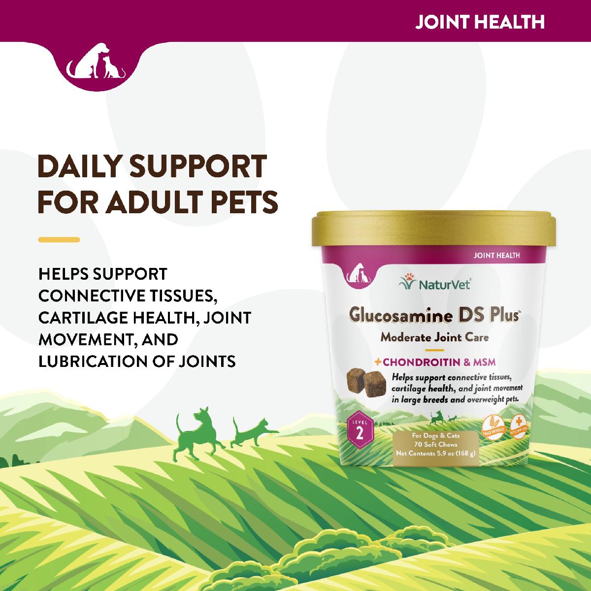 NaturVet Glucosamine DS Plus Level 2, 70 Soft Chews