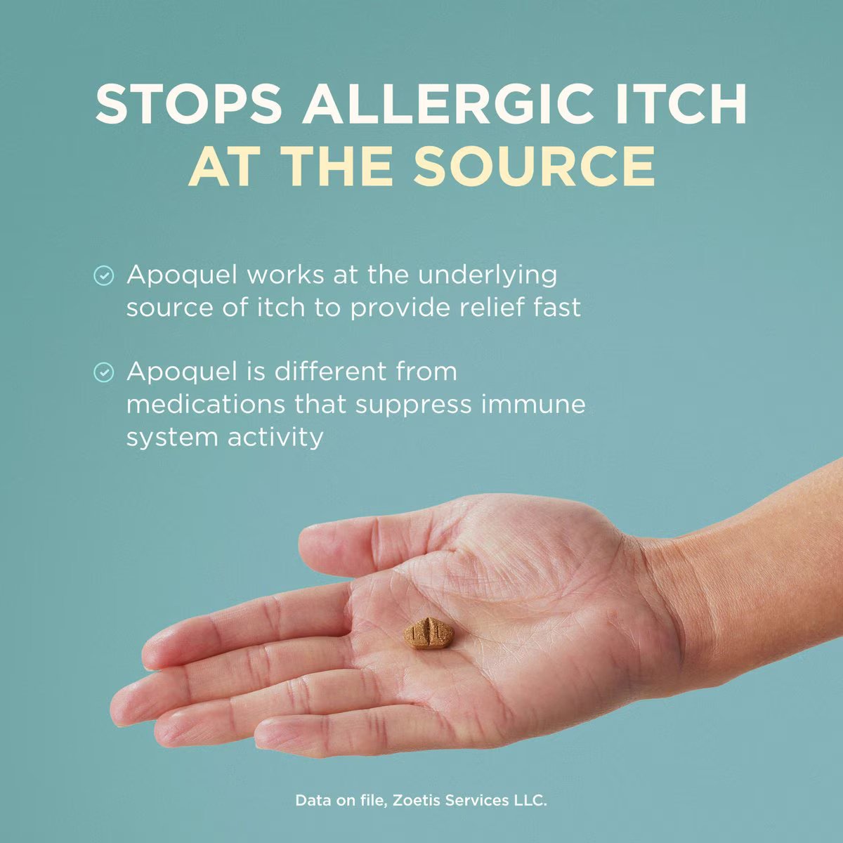 Apoquel Chews