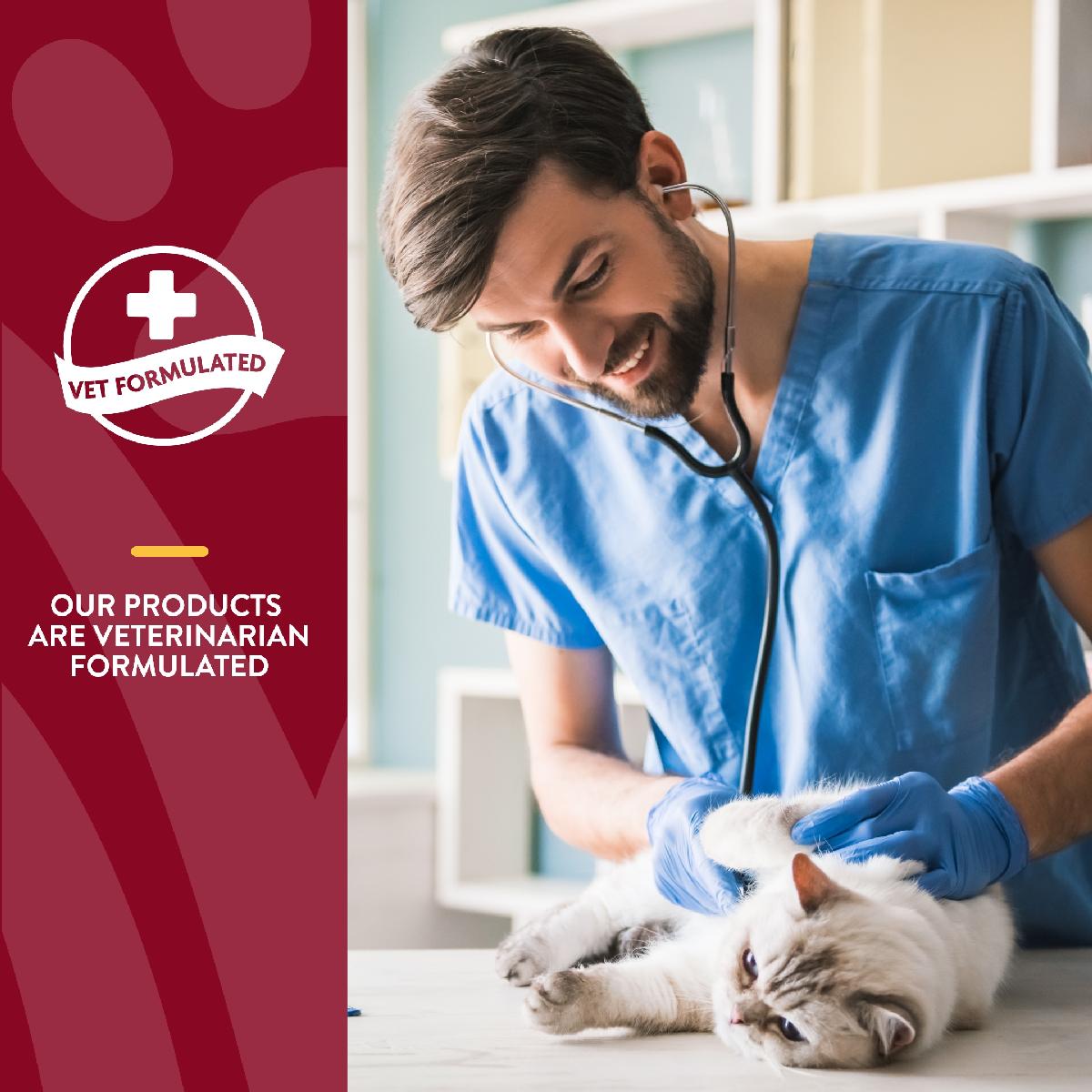 NaturVet Cranberry Relief Plus Echinacea Cat Soft Chews, 60 count