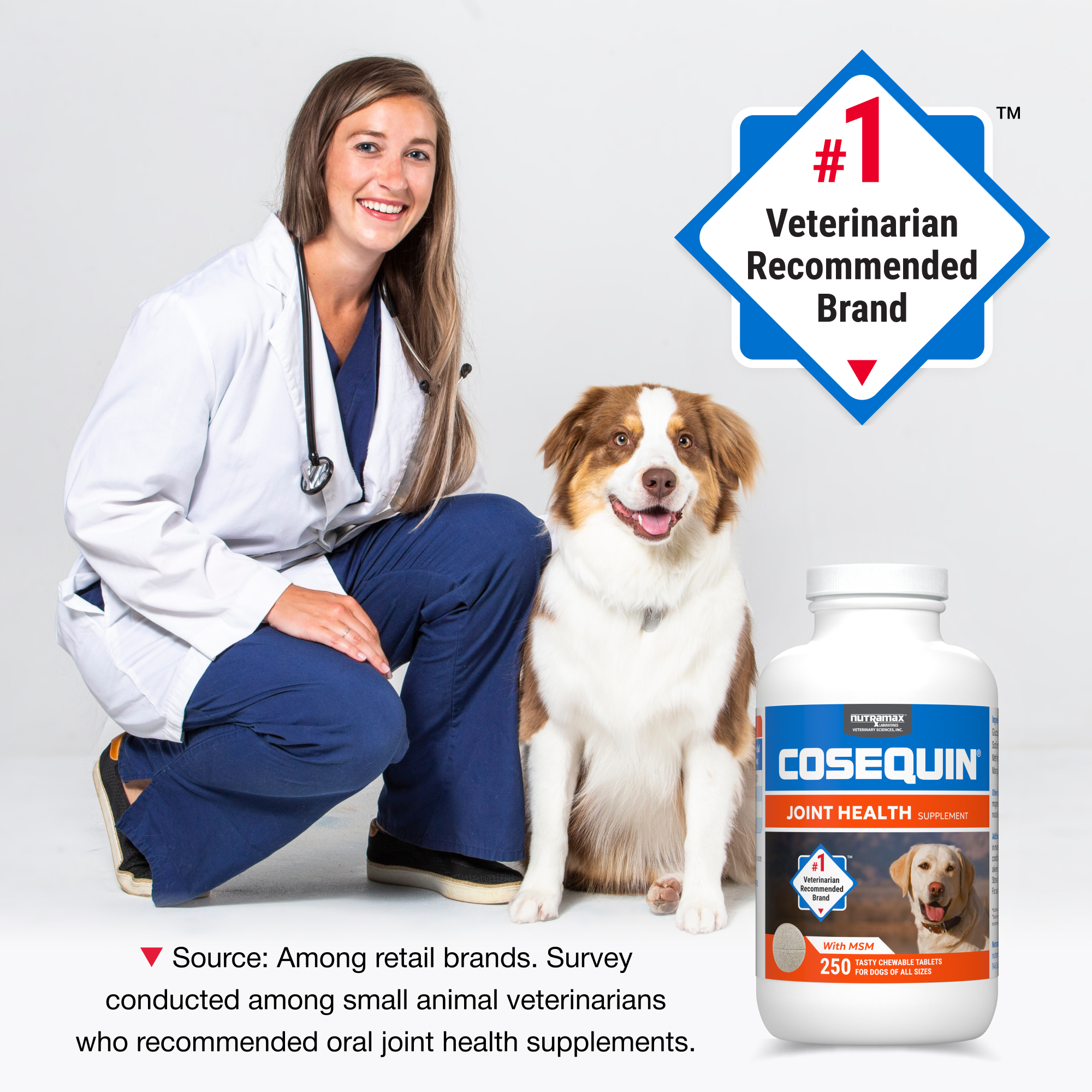 Cosequin Dog