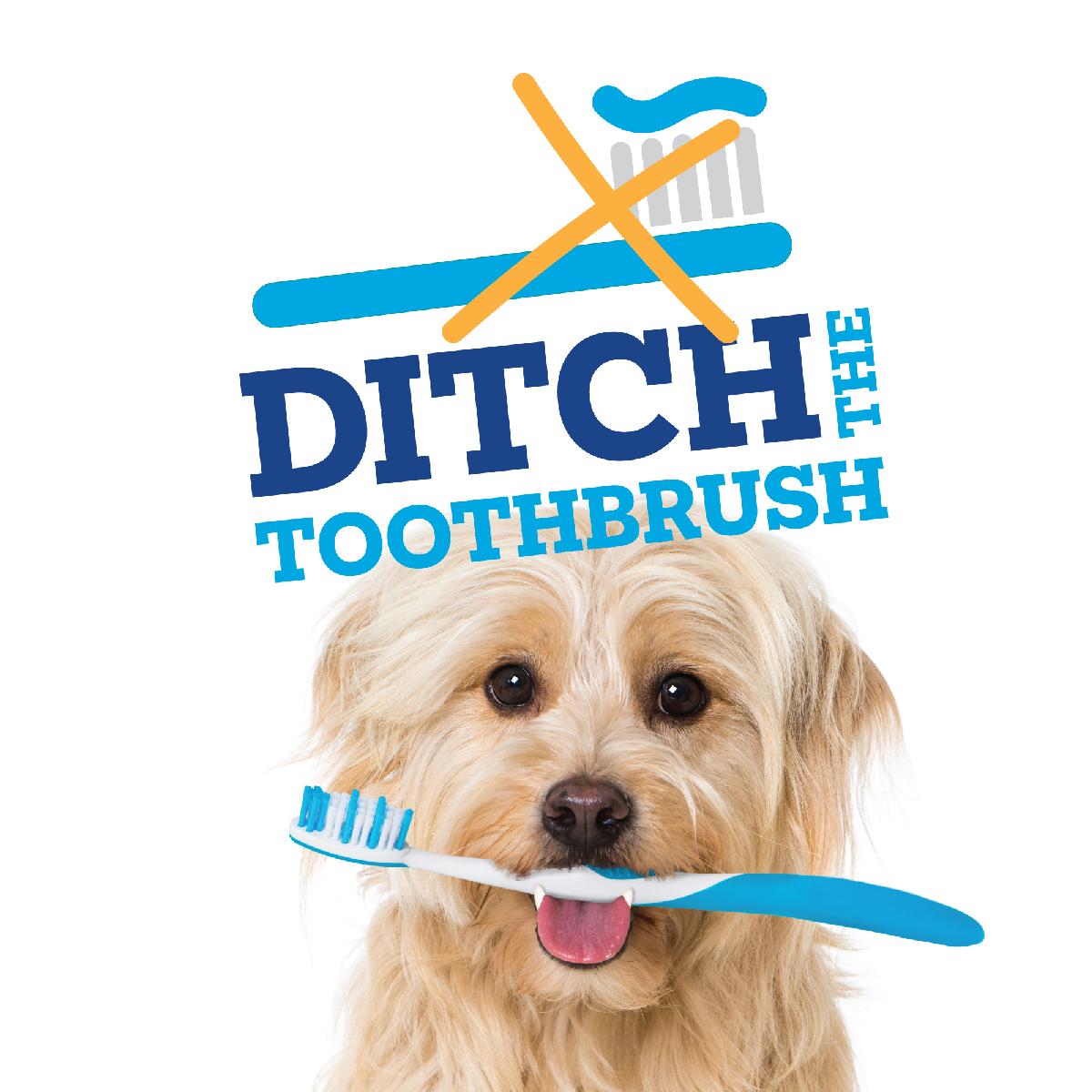 Vetality Brush Free Daily Dental Chews for Dogs 30 ct