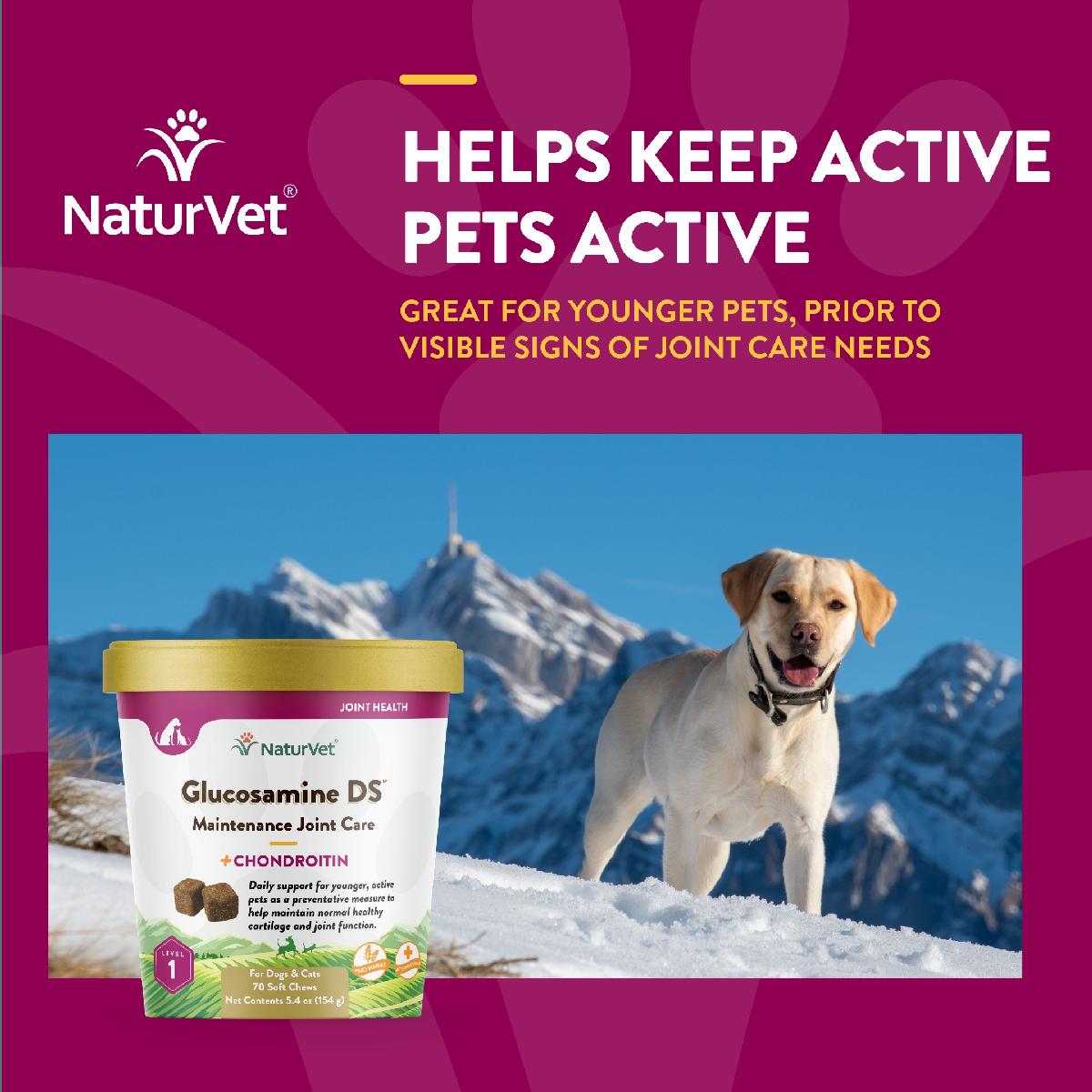 NaturVet Glucosamine DS Level 1 for Dogs & Cats, 70 Soft Chews