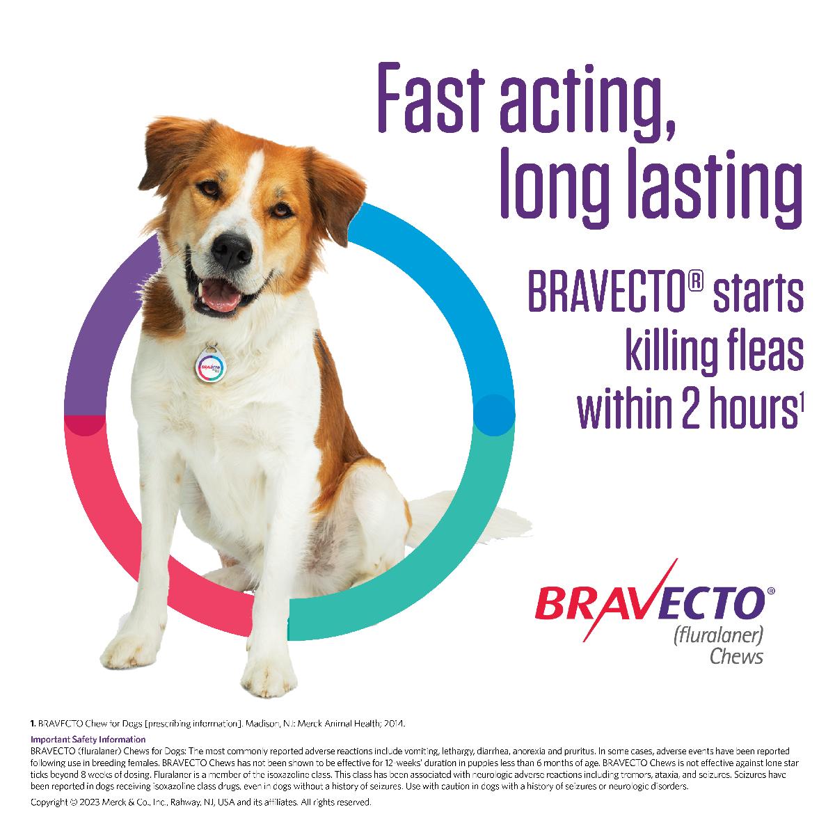 Bravecto Chews (fluralaner) Flea and Tick Treatment for Dogs by Merck, 44 88 lbs, 1000 mg, 1 ct