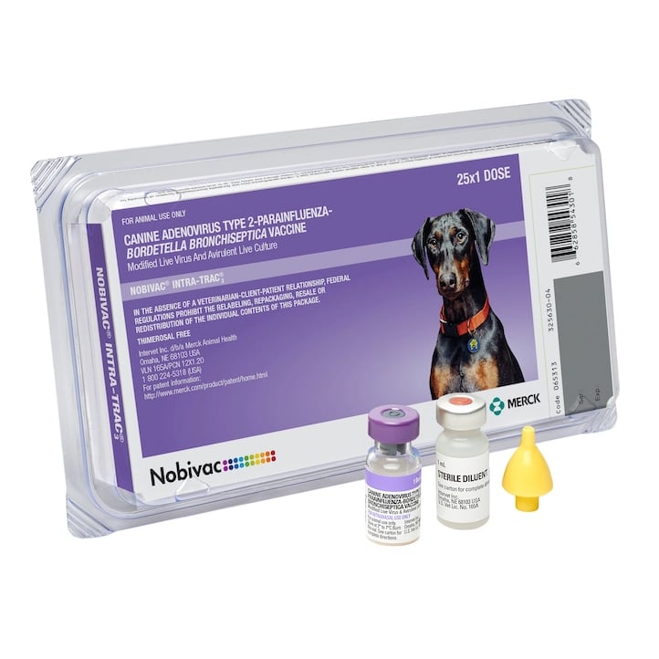 Nobivac Intra Trac 3 vaccine, 25x1 single dose