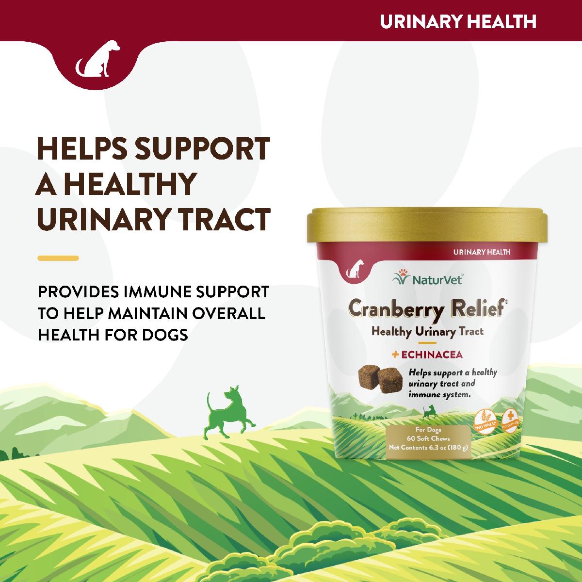 NaturVet Cranberry Relief Plus Echinacea for Dogs, 60 Soft Chews