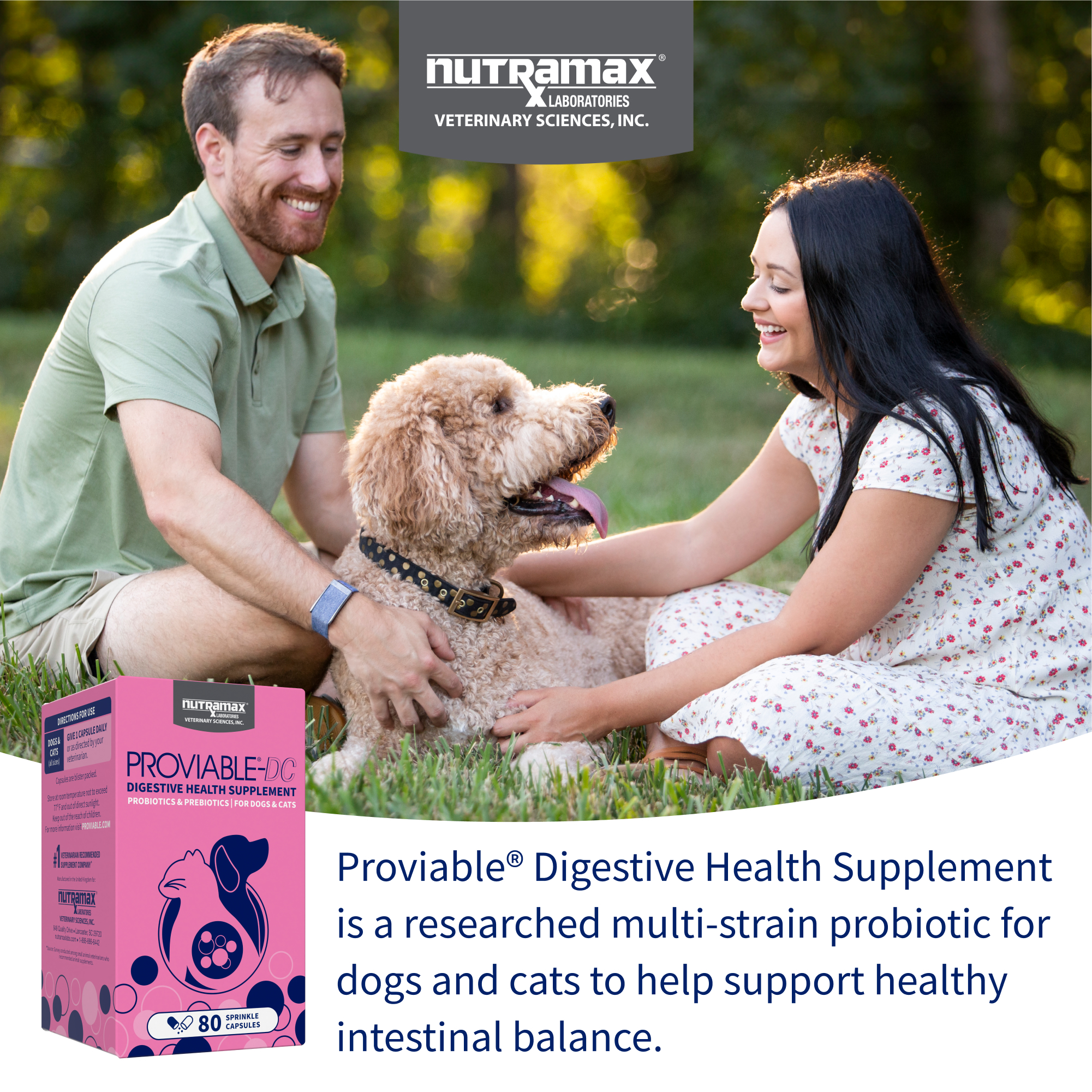 Nutramax Proviable