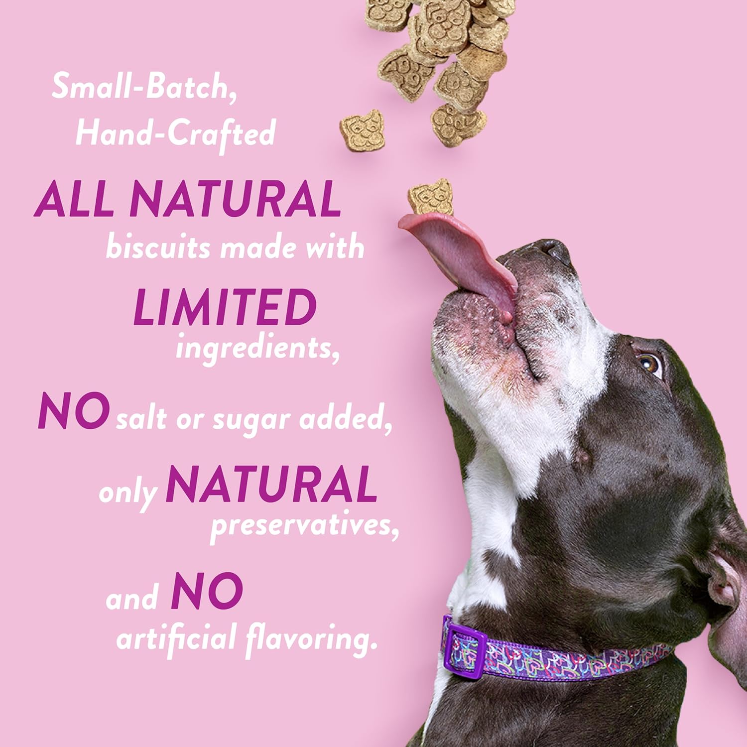 Dog Treats