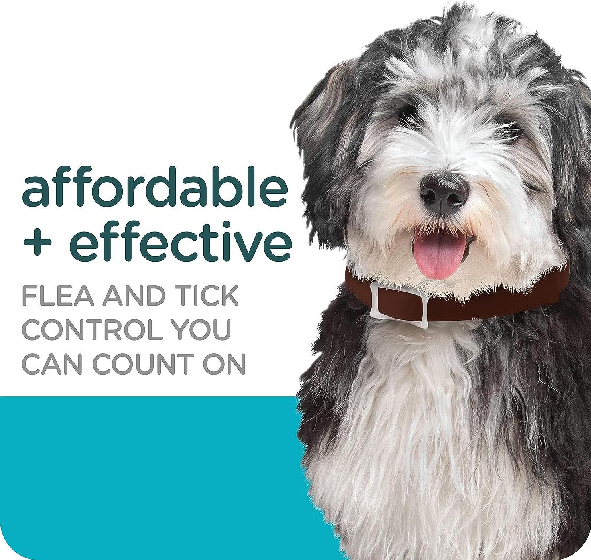 Sergeants-Guardian-Collar-Dogs-affordable