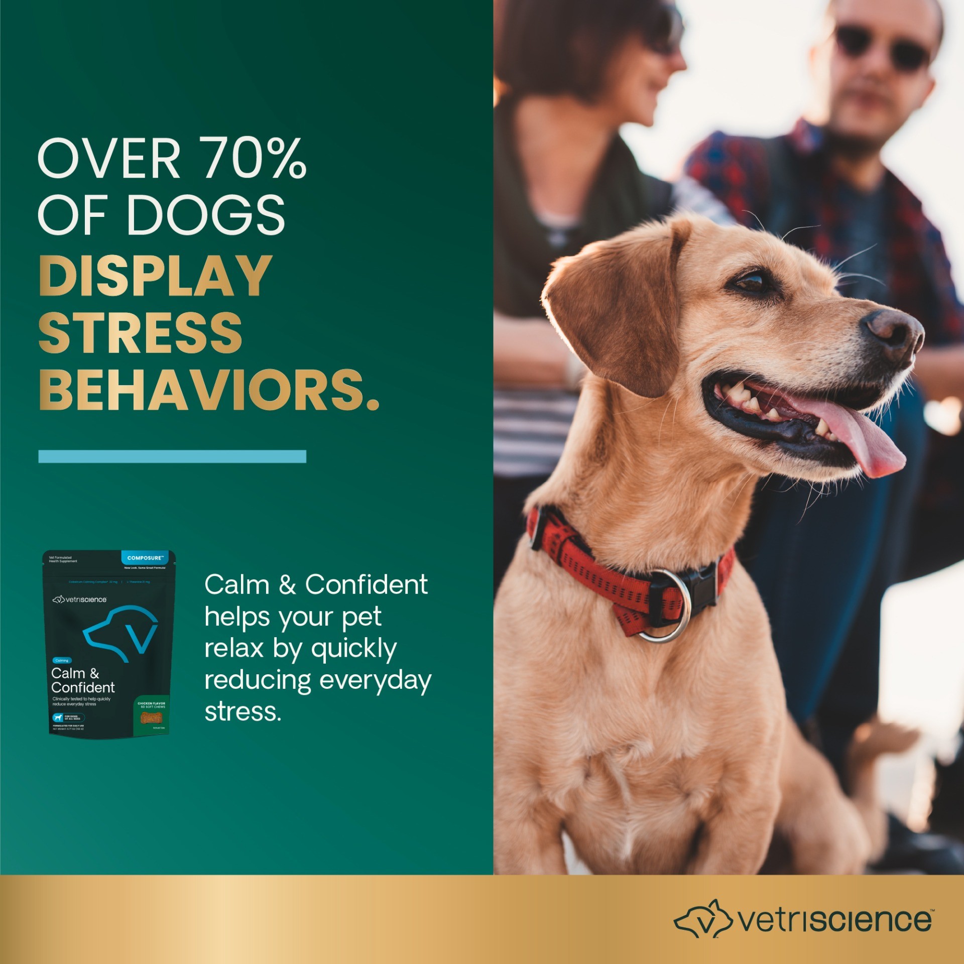 Calm & Confident for Dogs