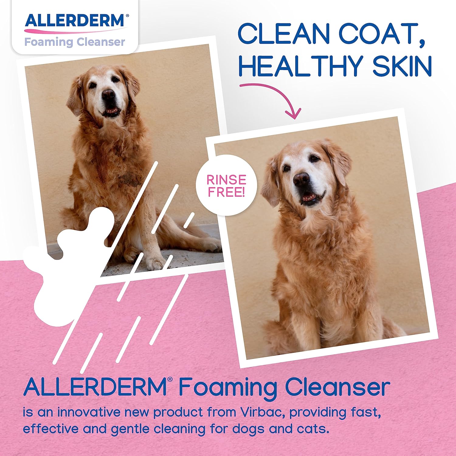 Allerderm