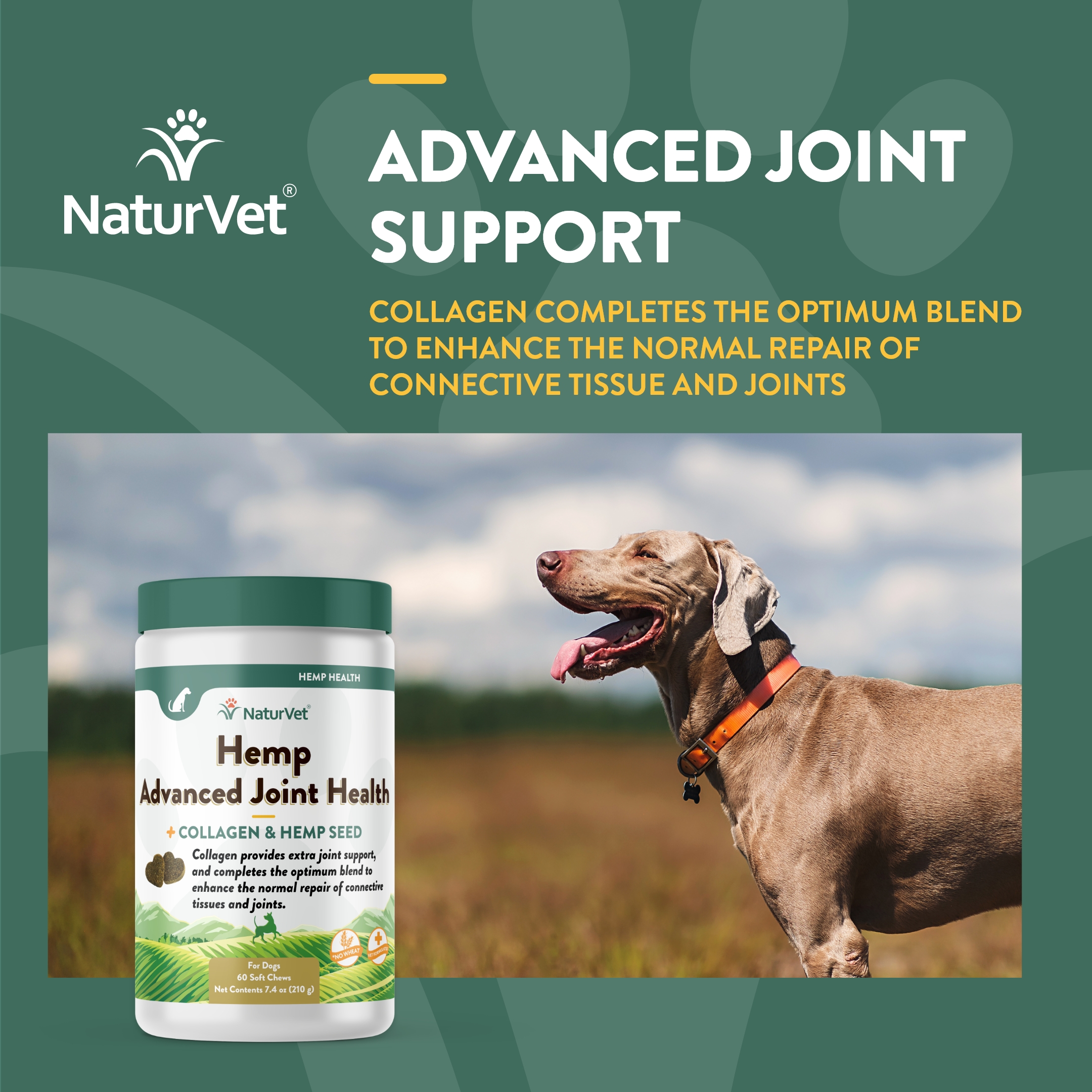 Hemp Advanced Joint Health SC 60ct