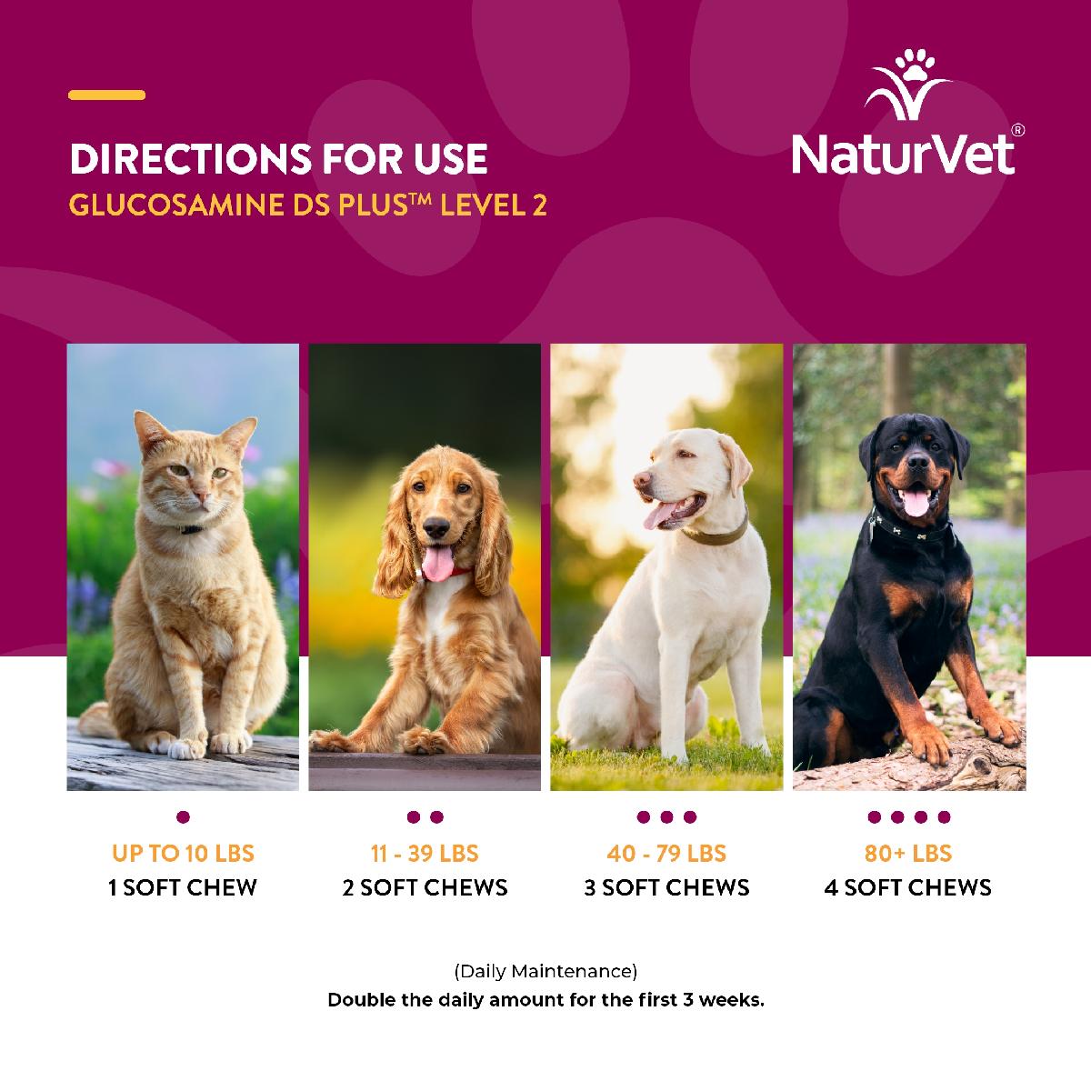NaturVet Glucosamine DS Plus Soft Chews, Level 2 Moderate Care for Dogs and Cats, 120 count