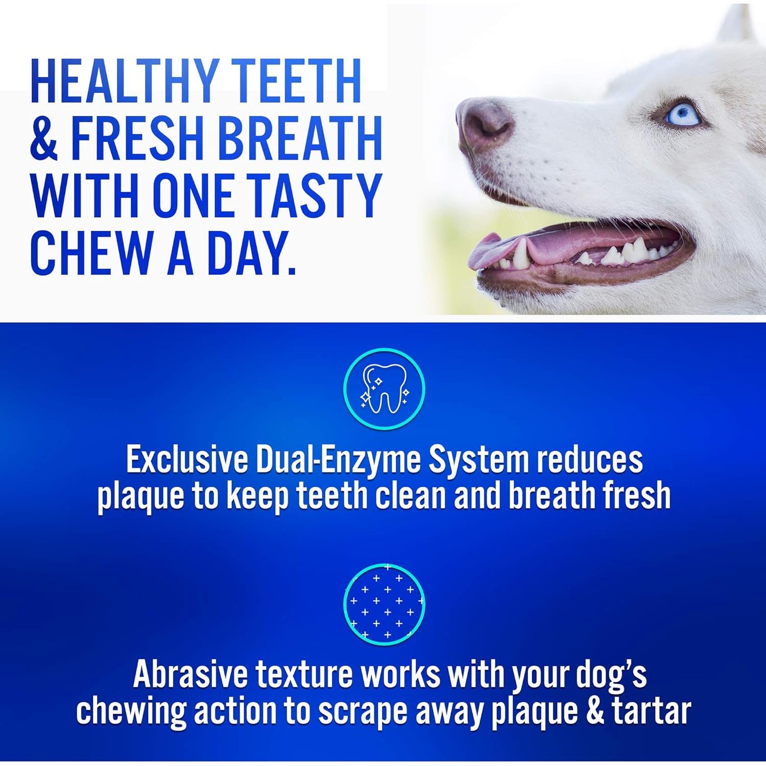 CET Enzymatic