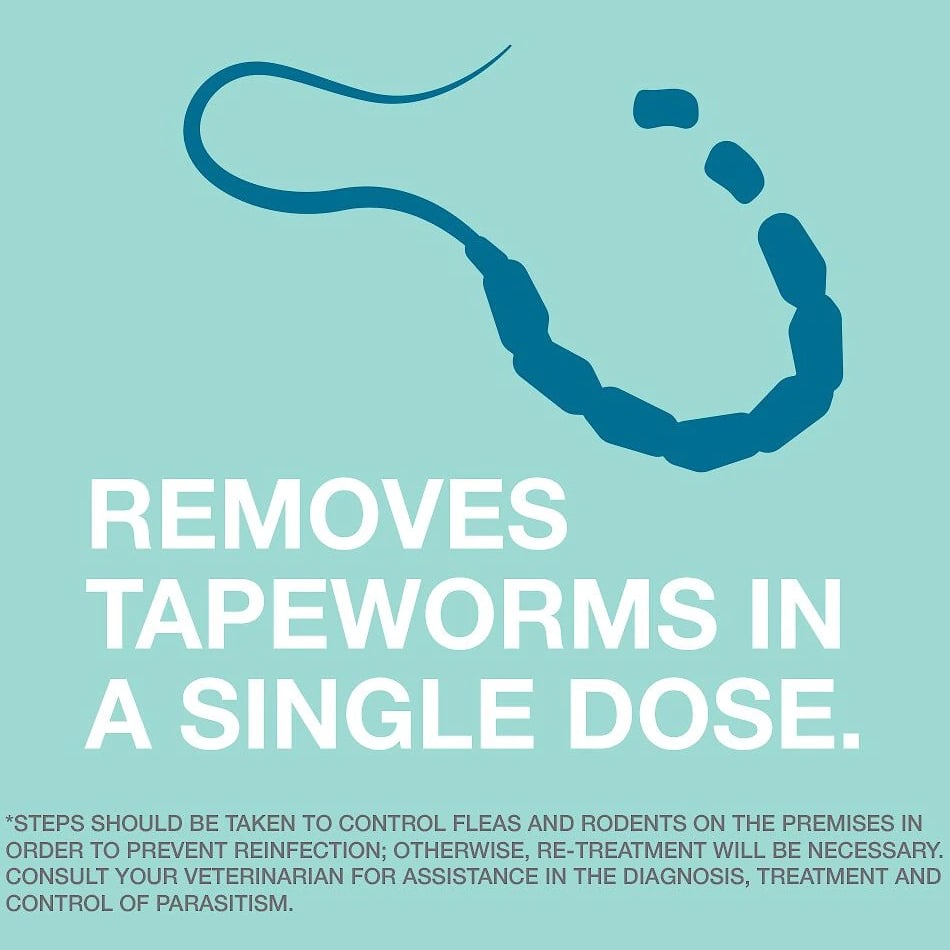 Elanco Tapeworm Dewormer (Praziquantel) for Cats 3 Tablets
