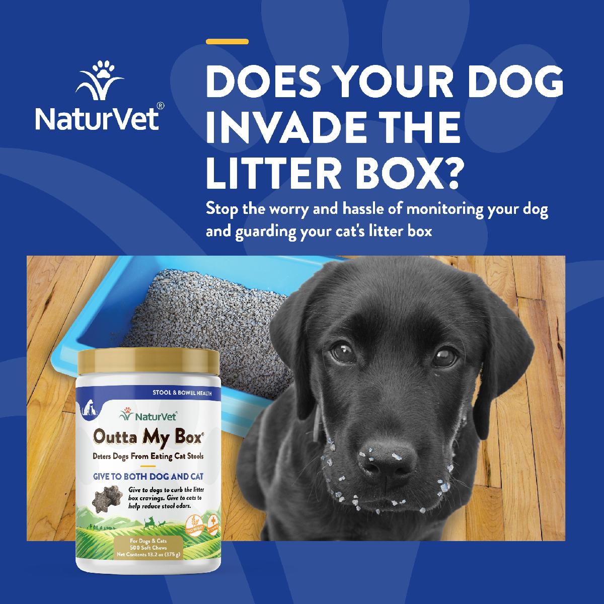 NaturVet Outta My Box Stool Deterrant for Dogs and Cats 500 chews