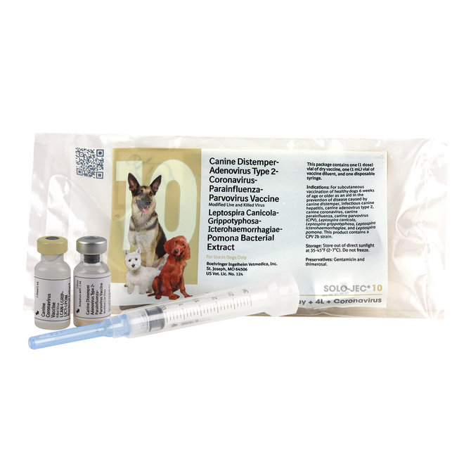 Solo Jec 10 Vaccine for Dogs, 1 single dose with syringe
