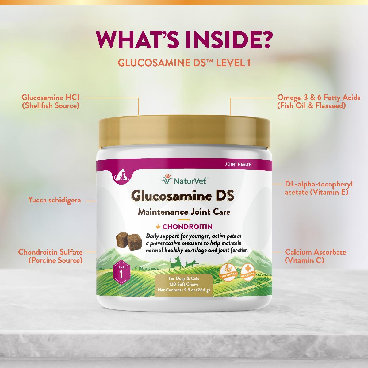 NaturVet Glucosamine DS Soft Chews, Level 1 Maintenance Care for Dogs and Cats, 120 count