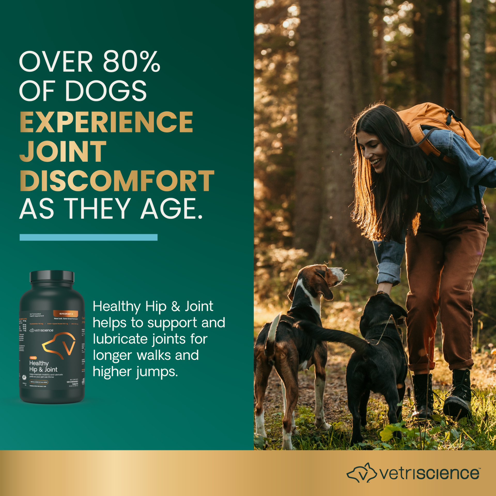 Healthy Hip & Joint Chewable Tablets for Dogs